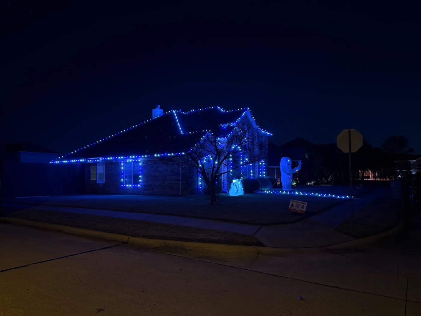 Blue holiday lighting display