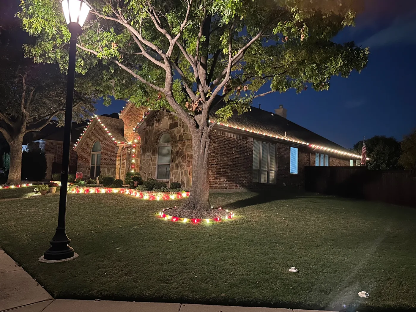 Professional red and white holiday landscape lighting