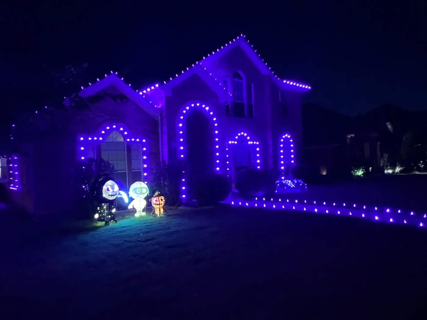 Purple holiday lighting display