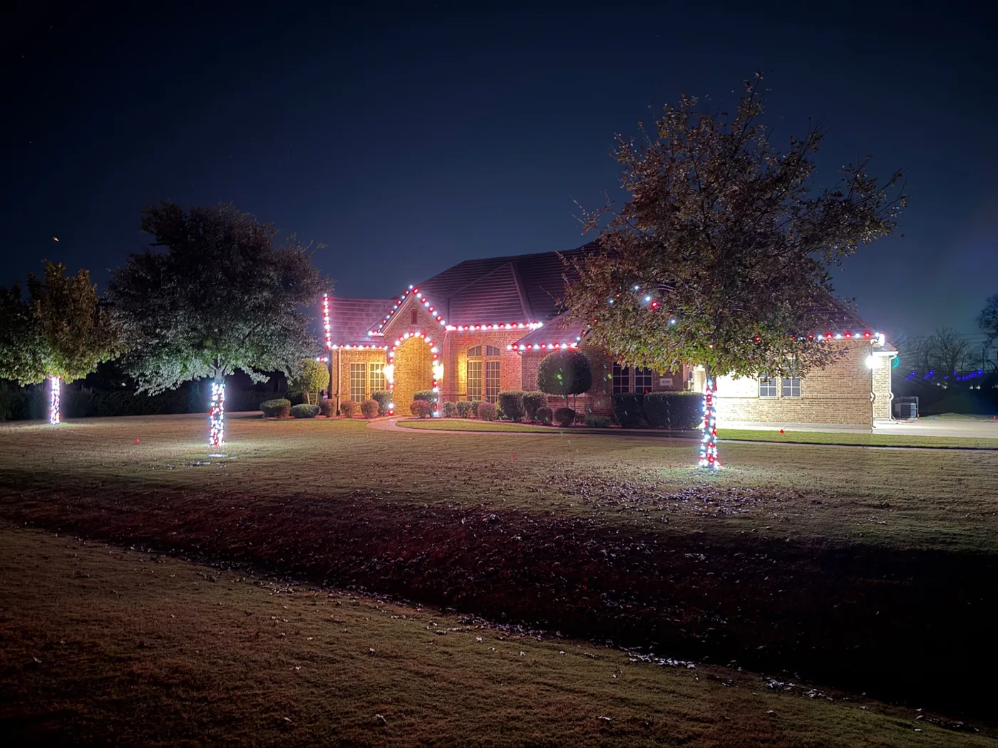 Holiday lights wrapped around trees